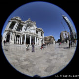 Bellas Artes en circular