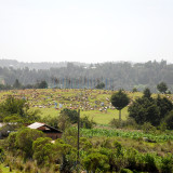 Vista al cementerio