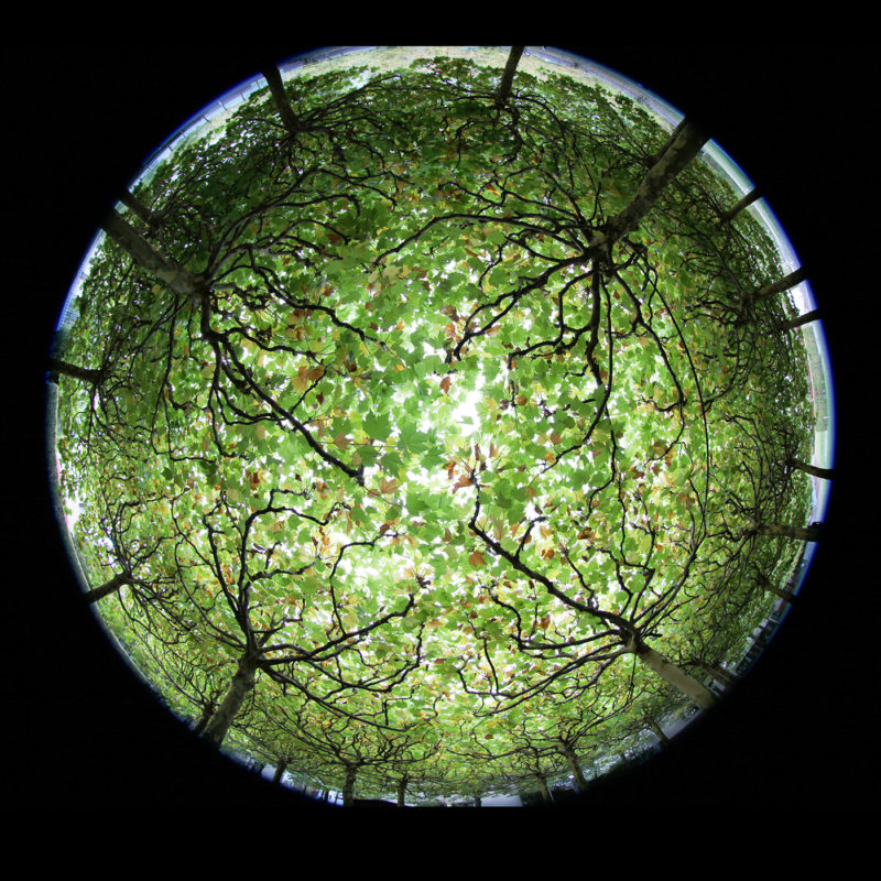 RAW Inside Outside