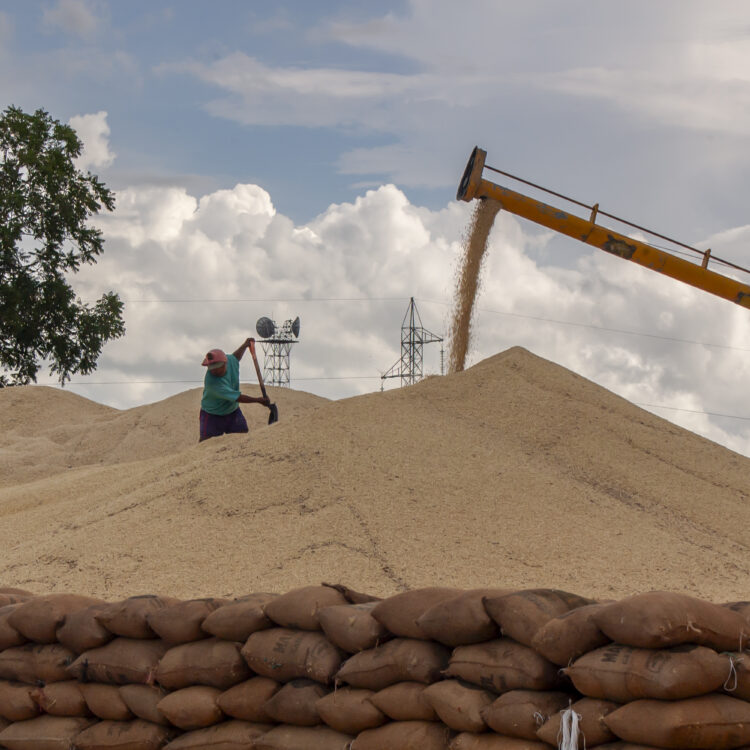 Comisión fotográfica de Marina Morris Uruchurtu para el Libro El Abasto: panorama de la distribución alimenticia en México, 2006.