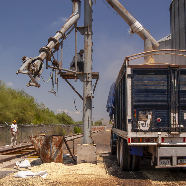 Comisión fotográfica de Marina Morris Uruchurtu para el Libro El Abasto: panorama de la distribución alimenticia en México, 2006.