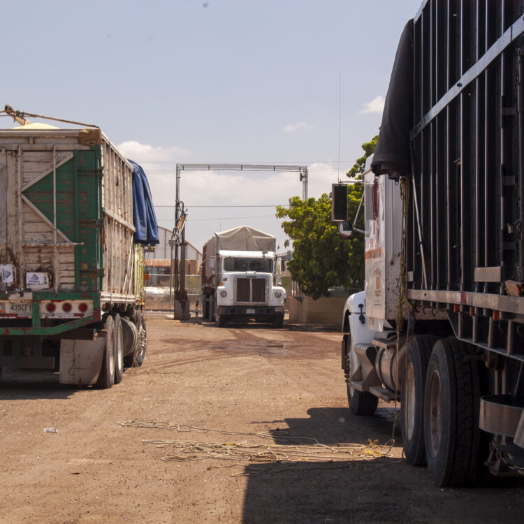 Comisión fotográfica de Marina Morris Uruchurtu para el Libro El Abasto: panorama de la distribución alimenticia en México, 2006.