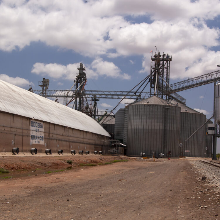 Comisión fotográfica de Marina Morris Uruchurtu para el Libro El Abasto: panorama de la distribución alimenticia en México, 2006.