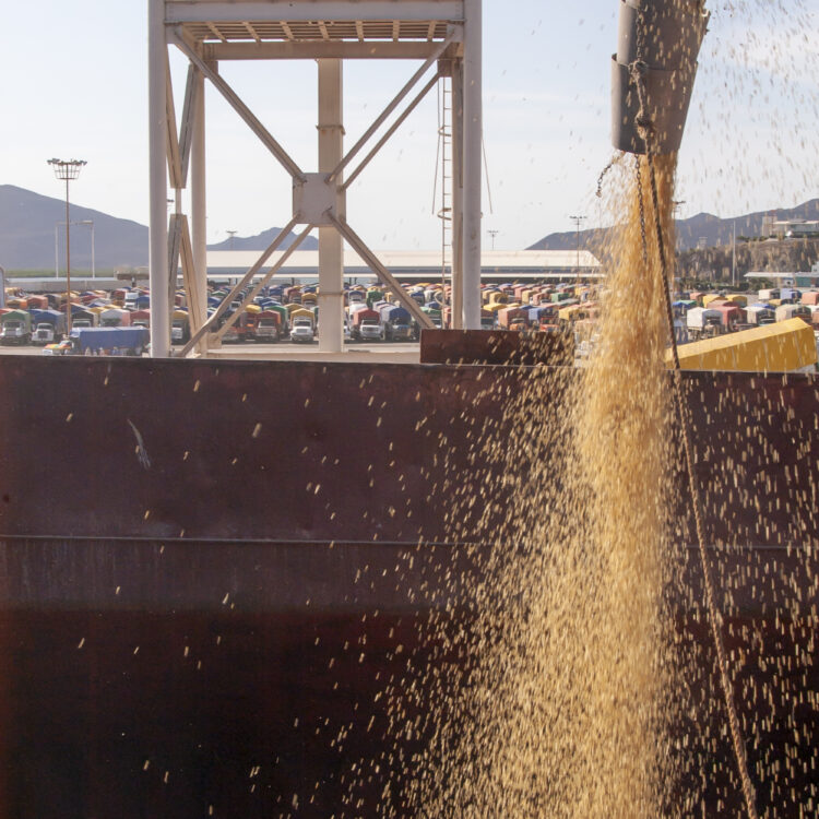 Comisión fotográfica de Marina Morris Uruchurtu para el Libro El Abasto: panorama de la distribución alimenticia en México, 2006.