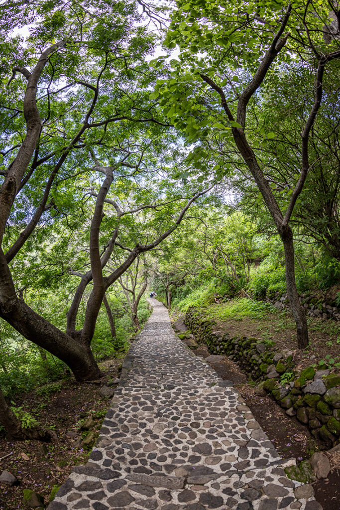 Malinalco, fotografía de Marina Morris Uruchurtu